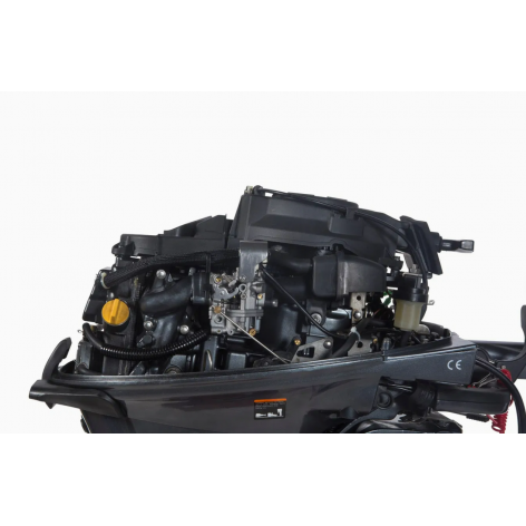 Motor de popa Sail 9,9cv 4 tempos